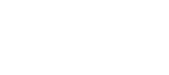 logo-04@2x Northampton Borough Council logo