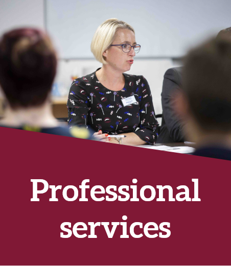 professional services